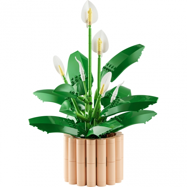 LEGO Botanicals Vėzdūnė 11504 | XS Žaislai | XS Žaislai