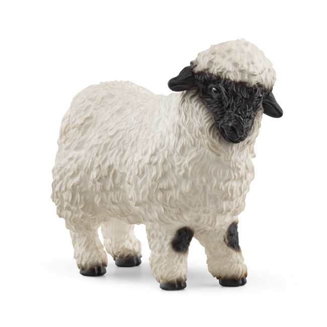 SCHLEICH FARM WORLD Juodanosė avis | XS Žaislai | XS Žaislai