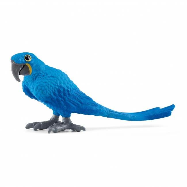 SCHLEICH WILD LIFE Hiacintinė mėlynoji | XS Žaislai
