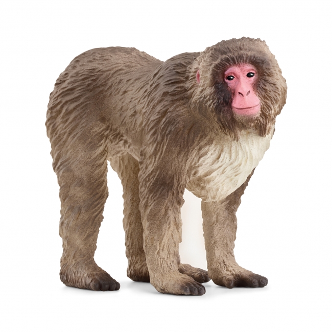 SCHLEICH WILD LIFE Japoninė makaka | XS Žaislai | XS Žaislai