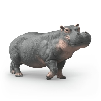 Žaislai | Gyvūnų figūrėlės ir rinkiniai | Schleich | Schleich Wild