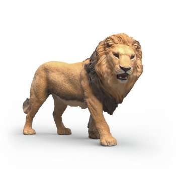 Žaislai | Gyvūnų figūrėlės ir rinkiniai | Schleich | Schleich Wild