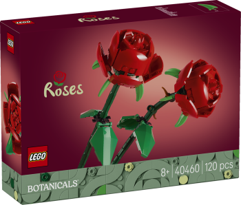 Žaislai | Konstruktoriai | LEGO | LEGO Menai ir rankdarbiai | XS
